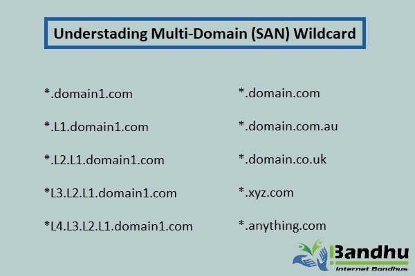 Multi Domain SAN Wildcard SSL Certificate Ibandhu